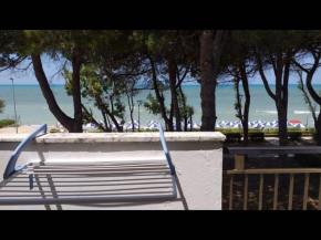 Room in BB - Spacious double room beside the sea Pineto